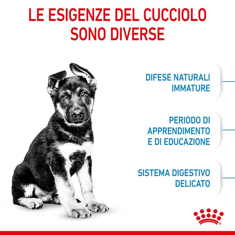 Royal Canin Maxi Puppy 15kg - Crocchette per Cani Royal Canin Maxi Puppy 15kg - Crocchette per Cani